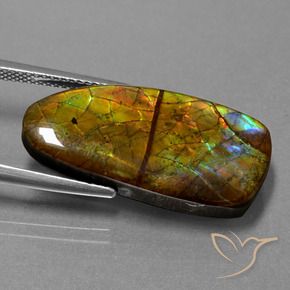 amolita Multicolor natural de 13.89 ct, Elegante, Opaco