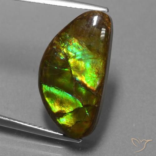 11.30ct Natural Multicolor amolita, Elegante, Opaco