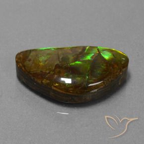 amolita Multicolor natural de 11.30 ct, Elegante, Opaco