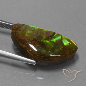 amolita Multicolor natural de 11.30 ct, Elegante, Opaco