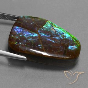 amolita Multicolor natural de 23.98 ct, Elegante, Opaco