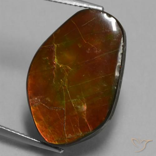 14.61ct Natural Multicolor amolita, Elegante, Opaco