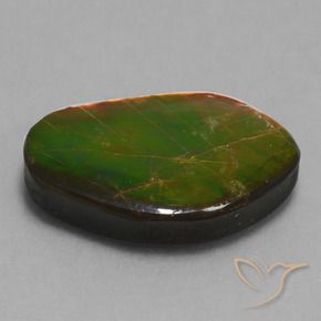 amolita Multicolor natural de 14.61 ct, Elegante, Opaco