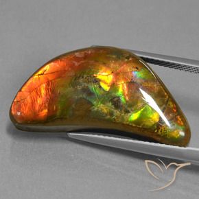 amolita Multicolor natural de 17.19 ct, Elegante, Opaco
