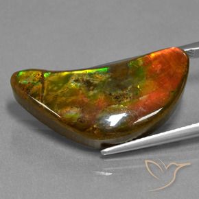 amolita Multicolor natural de 17.19 ct, Elegante, Opaco
