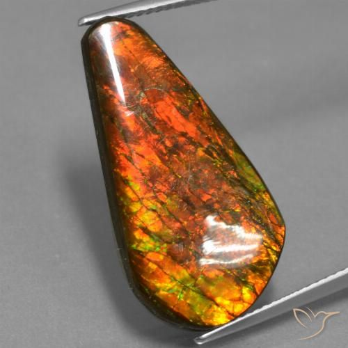 14.87ct Natural Multicolor amolita, Elegante, Opaco