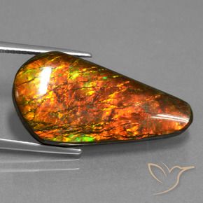 amolita Multicolor natural de 14.87 ct, Elegante, Opaco