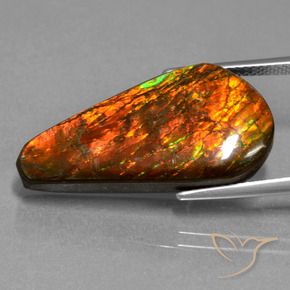 amolita Multicolor natural de 14.87 ct, Elegante, Opaco