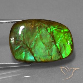 amolita Multicolor natural de 13.93 ct, Elegante, Opaco
