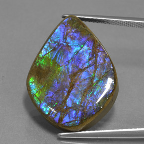 Ammolita multicolor natural de 18,07 ct, forma elegante, opaco