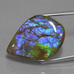 Ammolita multicolor natural de 18,07 ct, forma elegante, opaco