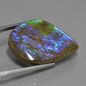 Ammolita multicolor natural de 18,07 ct, forma elegante, opaco