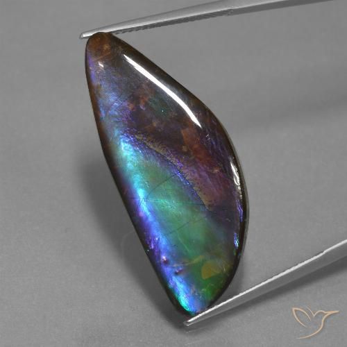 Ammolita multicolor natural de 21,30 ct, forma elegante, opaco
