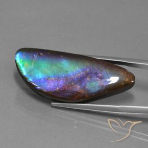 Ammolita multicolor natural de 21,30 ct, forma elegante, opaco