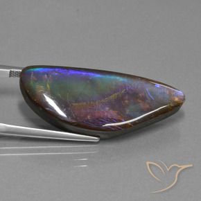 Ammolita multicolor natural de 21,30 ct, forma elegante, opaco