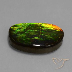 amolita Multicolor natural de 17.20 ct, Elegante, Opaco