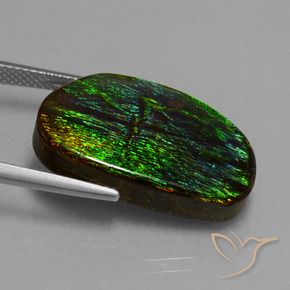 amolita Multicolor natural de 17.20 ct, Elegante, Opaco