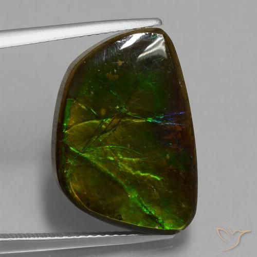 14.74ct Natural Multicolor amolita, Elegante, Opaco