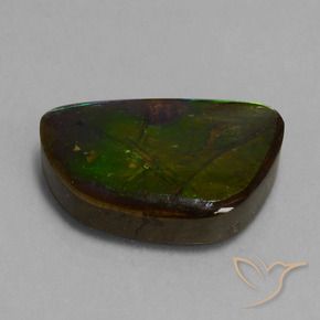 amolita Multicolor natural de 14.74 ct, Elegante, Opaco