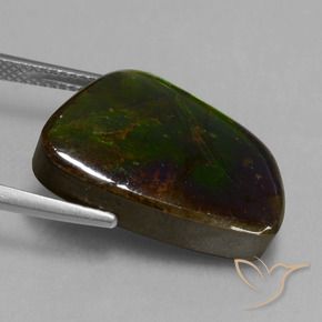 amolita Multicolor natural de 14.74 ct, Elegante, Opaco