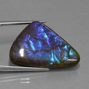 amolita Multicolor natural de 22.64 ct, Forma elegante, Opaco