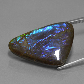 amolita Multicolor natural de 22.64 ct, Forma elegante, Opaco