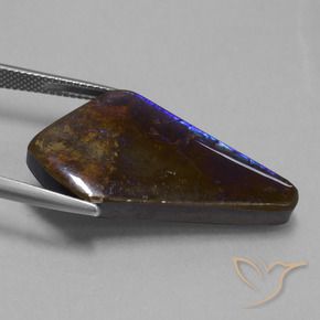 amolita Multicolor natural de 19.82 ct, Elegante, Opaco