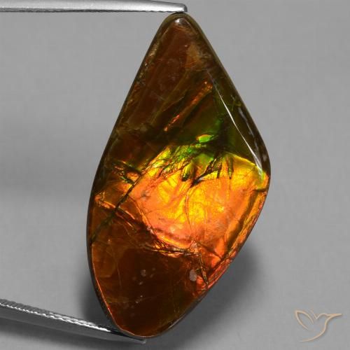 21.71ct Natural Multicolor amolita, Elegante, Opaco