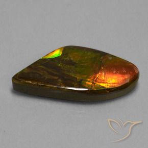 amolita Multicolor natural de 21.71 ct, Elegante, Opaco