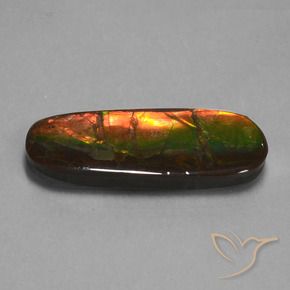 amolita Multicolor natural de 24.02 ct, Elegante, Opaco