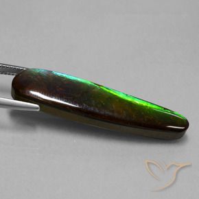 amolita Multicolor natural de 19.66 ct, Elegante, Opaco