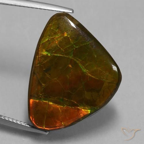 15.18ct Natural Multicolor amolita, Elegante, Opaco