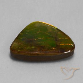 amolita Multicolor natural de 15.18 ct, Elegante, Opaco