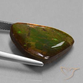 amolita Multicolor natural de 15.18 ct, Elegante, Opaco