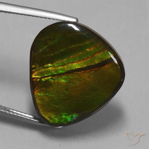 16.74ct Natural Multicolor amolita, Elegante, Opaco