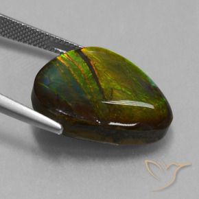 amolita Multicolor natural de 16.74 ct, Elegante, Opaco