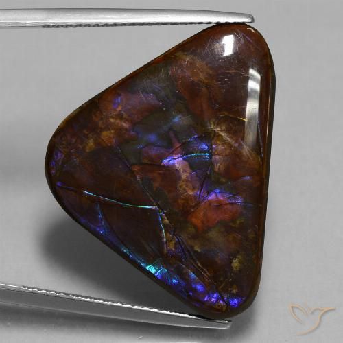 23.63ct Natural Multicolor amolita, Trillón, Opaco