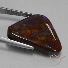 amolita Multicolor natural de 23.63 ct, Trillón, Opaco