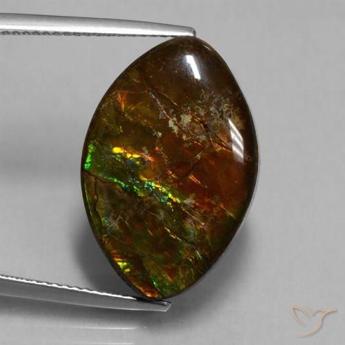 13.51ct Natural Multicolor amolita, Marquesa, Opaco