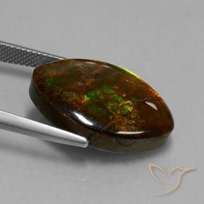 amolita Multicolor natural de 13.51 ct, Marquesa, Opaco