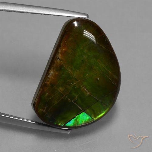 15.89ct Natural Multicolor amolita, Elegante, Opaco