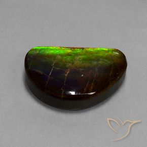 amolita Multicolor natural de 15.89 ct, Elegante, Opaco