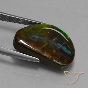 amolita Multicolor natural de 15.89 ct, Elegante, Opaco
