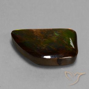 amolita Multicolor natural de 15.62 ct, Elegante, Opaco