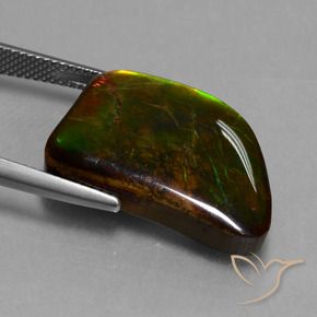 amolita Multicolor natural de 15.62 ct, Elegante, Opaco