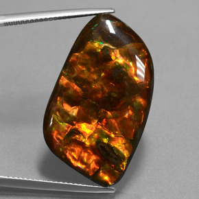 Ammolita multicolor natural de 20,42 ct, forma elegante, opaco