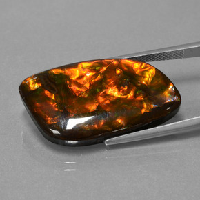 Ammolita multicolor natural de 20,42 ct, forma elegante, opaco