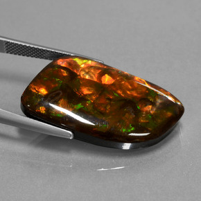 Ammolita multicolor natural de 20,42 ct, forma elegante, opaco