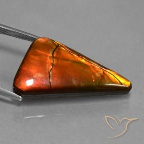 amolita Multicolor natural de 17.93 ct, Trillón, Opaco