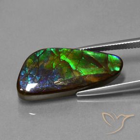 amolita Multicolor natural de 16.76 ct, Elegante, Opaco